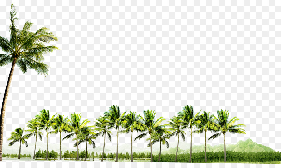 Dừa - Coconut grove mô hình trang trí