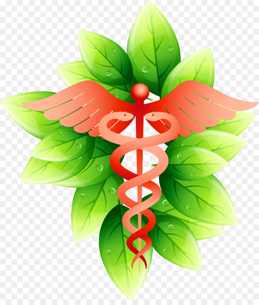 Symbol Medizin Arzt - Grüne Blätter mit Wassertropfen