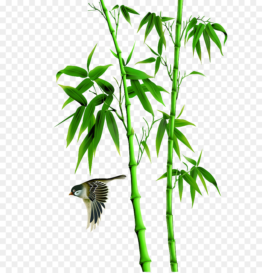 Bambus-Vogel-und-Blumen-Malerei-Symbol - Malen Bambus-Wald