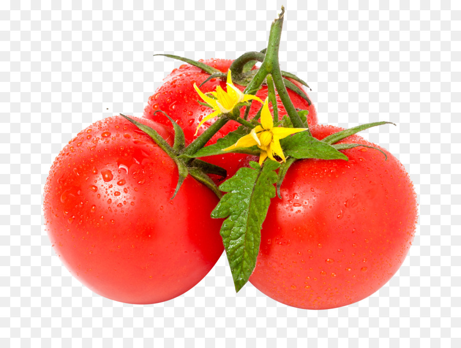 Tomato Leaf Stock-Fotografie-Gemüse-White - Rote Tomaten
