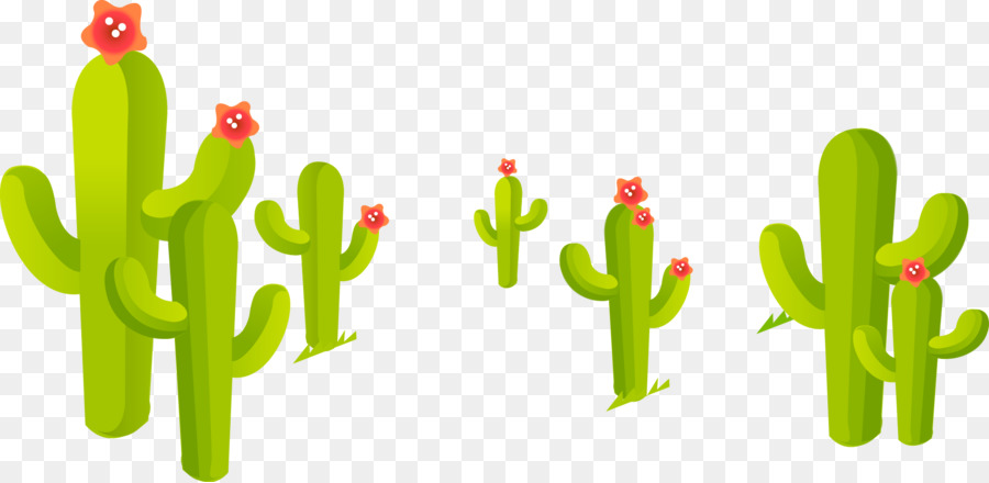 Treno Cactaceae Cartoon - Fresco di cactus