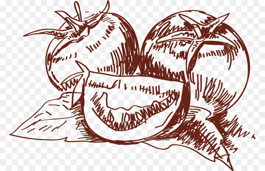 Cherry-Tomaten-Gemüse-Zeichnung - Tomaten-Skizze