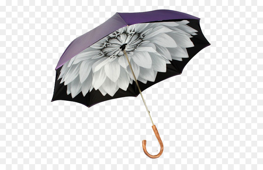 Regenschirm Auringonvarjo Regenmantel Mode-Accessoire - Regenschirm