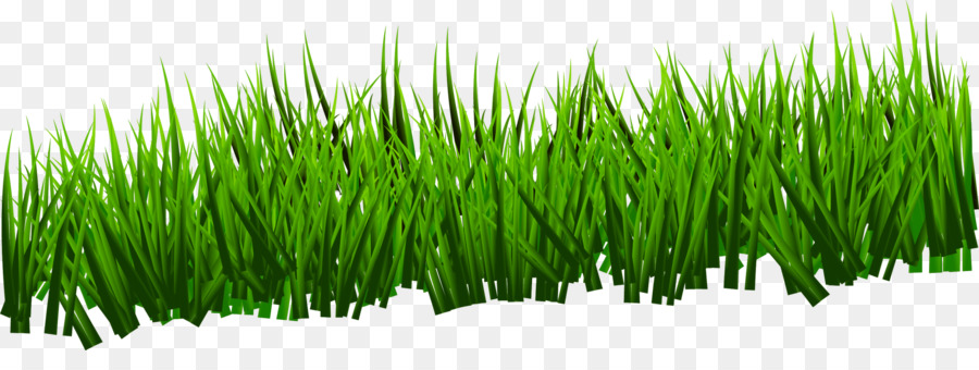 Green Grass Background png download - 2000*715 - Free Transparent Green png  Download. - CleanPNG / KissPNG