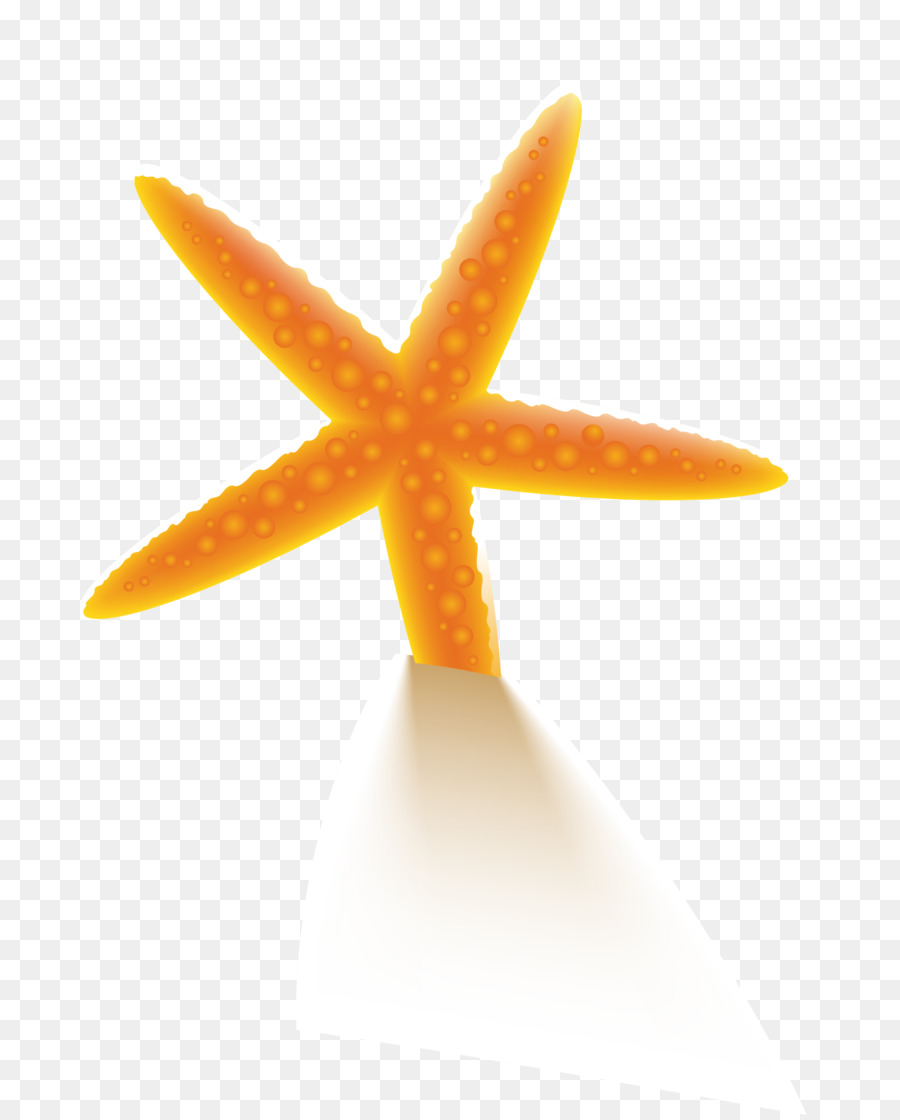 stella marina - Orange Beach stelle marine