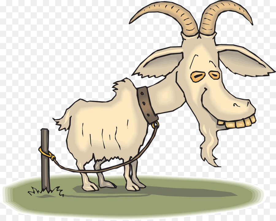 Boer capra Angora, di capra, di Pecora Zazzle Clip art - Allevamento di capre