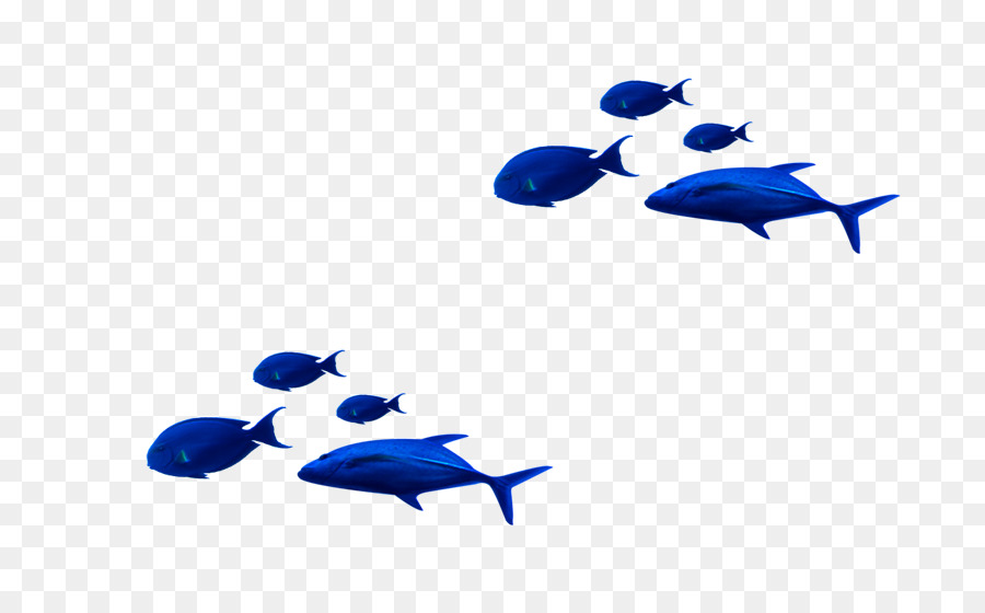 Blu Navy di pesci Tropicali, Delfini - Dark blue dolphin di pesci tropicali, motivo ornamentale
