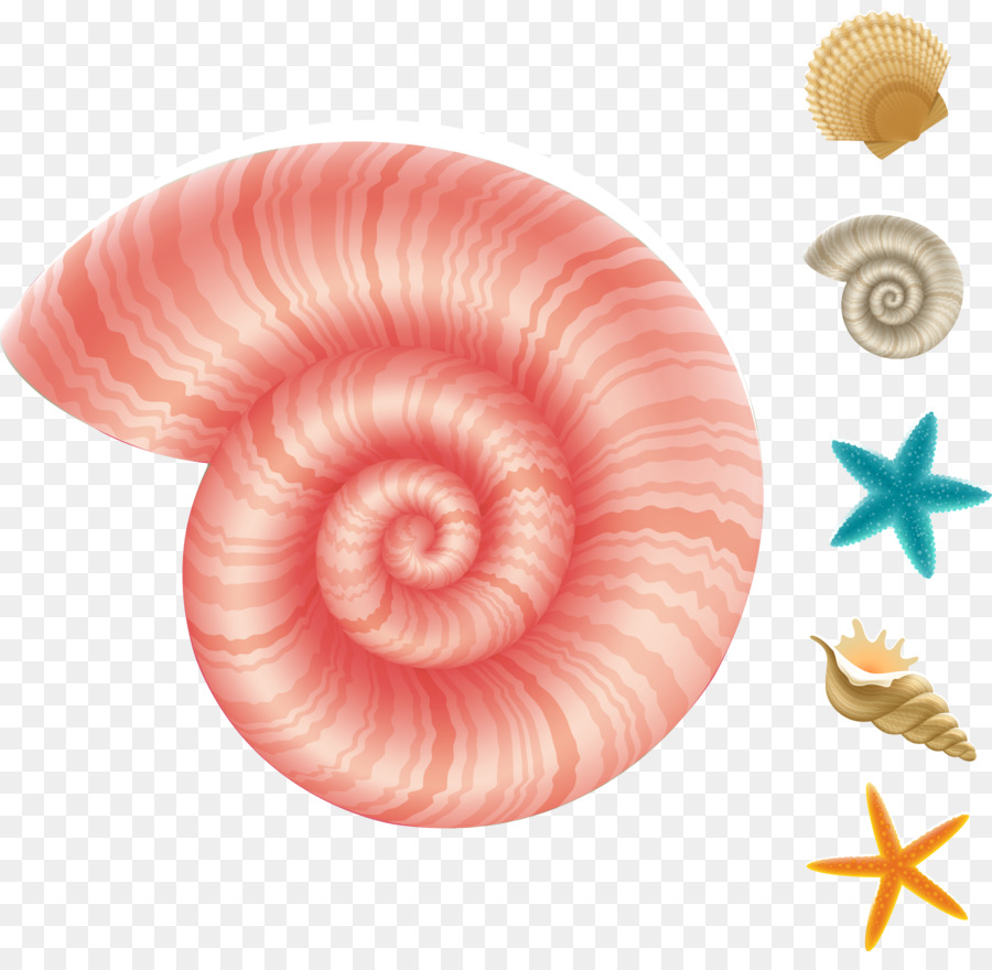 Tiefsee-Kreatur Aquatischen Tier, Meer, Schnecke, Unterwasser - Vektor conch