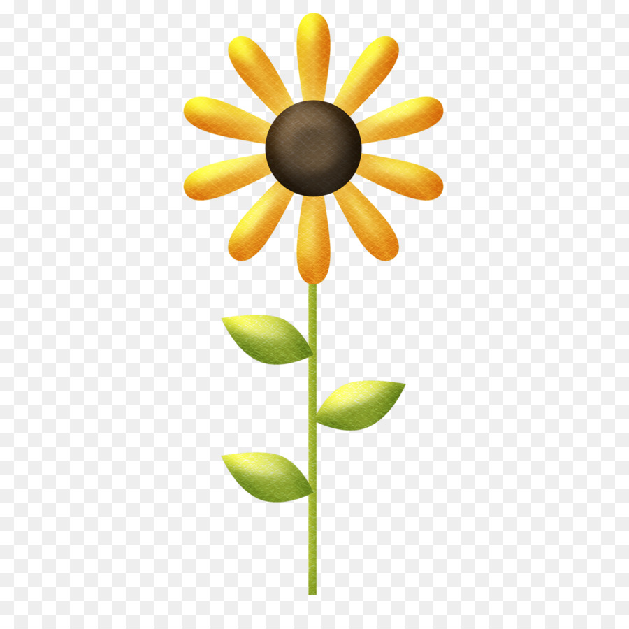 Gemeinsame Sonnenblume Abbildung - Sonnenblume