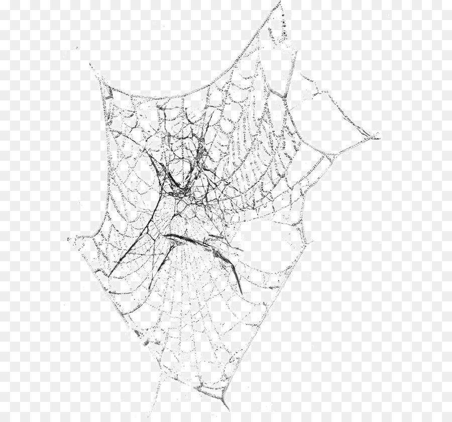In bianco e nero Linea di Ragno art Simmetria Modello - In bianco e nero spider web spider