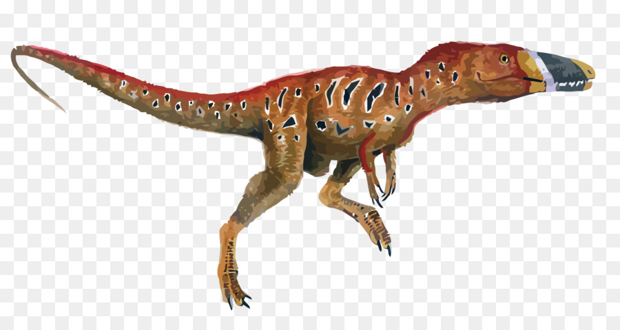 Xiongguanlong Tyrannosaurus Bảo Tàng Mô Phỏng Albertosaurus Zhuchengtyrannus - véc tơ khủng long