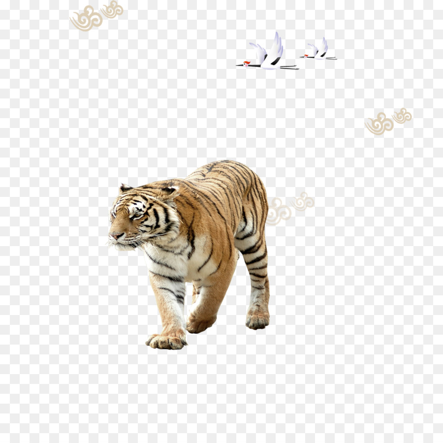 Sibirischer Tiger - Tiger Schwan