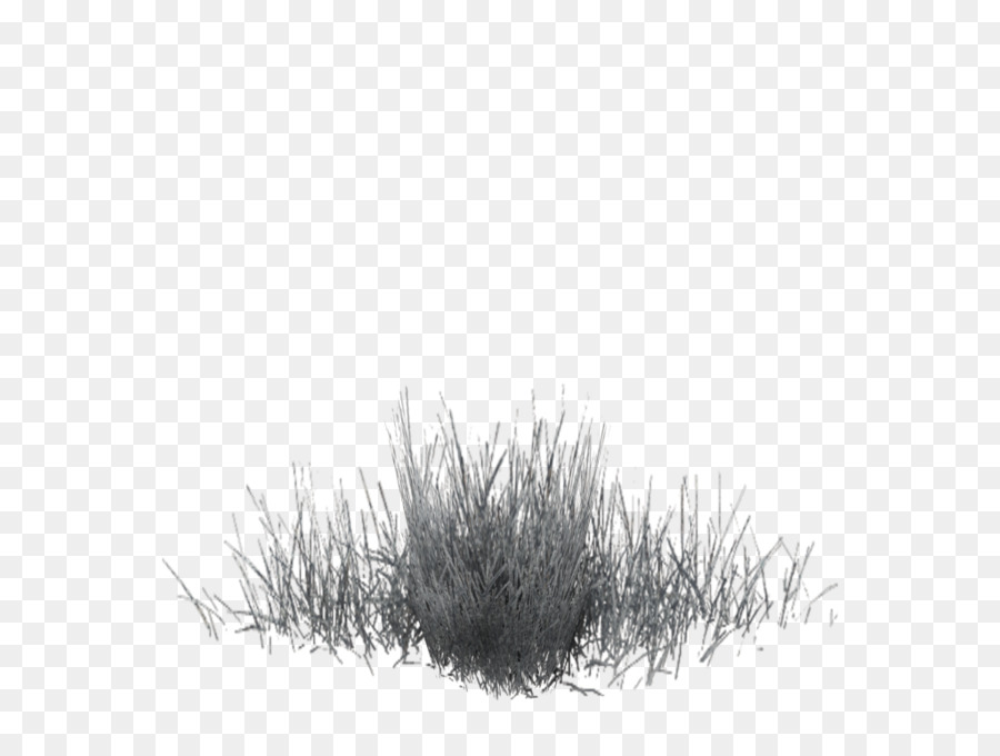 Schwarz Weiß Muster - winter gras