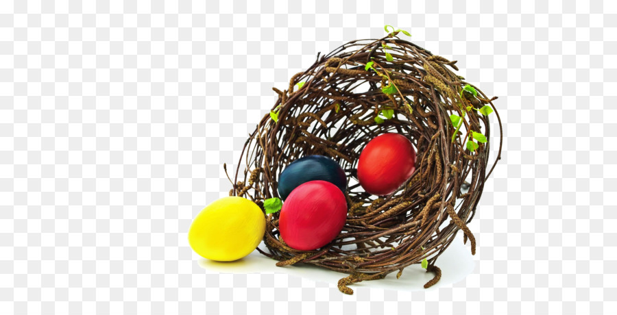 Commestibili uccelli, nido di Uccello, nido, Uovo - nido d'uovo