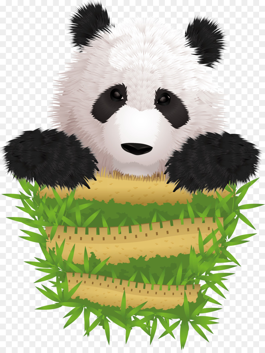 Giant panda Niedlichkeit Abbildung - Vector cute panda rare