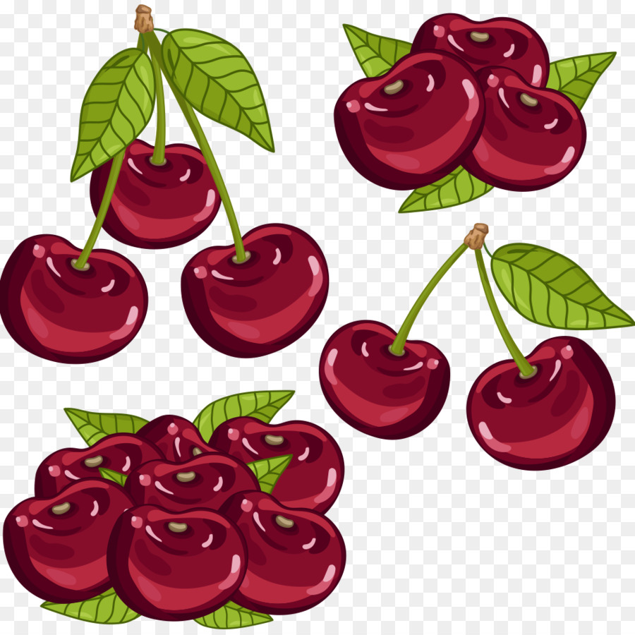 Cherry Auglis Cartoon - Vektor Kirsche Obst