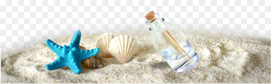Poster Modello Di Turismo - Una bottiglia alla deriva accanto le stelle marine conchiglie sulla sabbia
