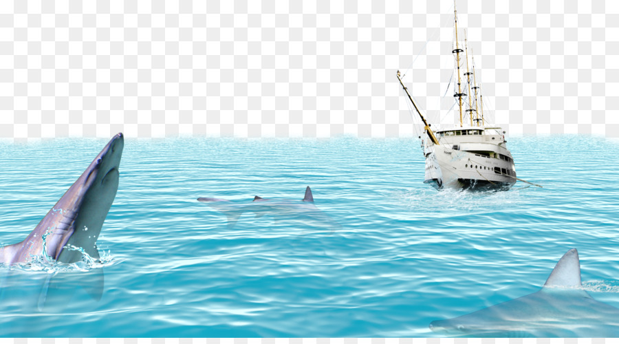 Poster Mare - Dolphin Marine Vasi di sfondo materiale