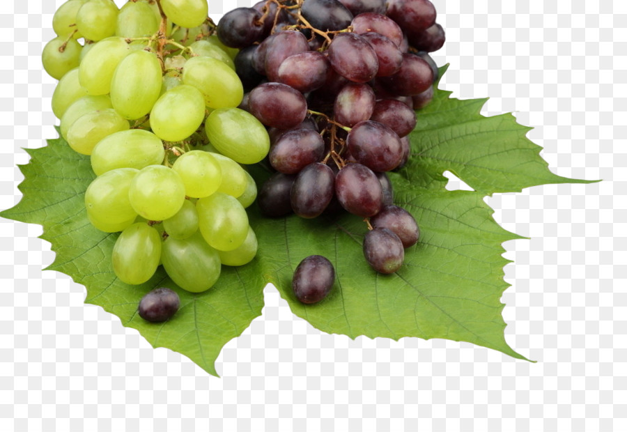 Common Grape Vine High-definition-TV-1080p Wallpaper - Lila Trauben und grünen Trauben