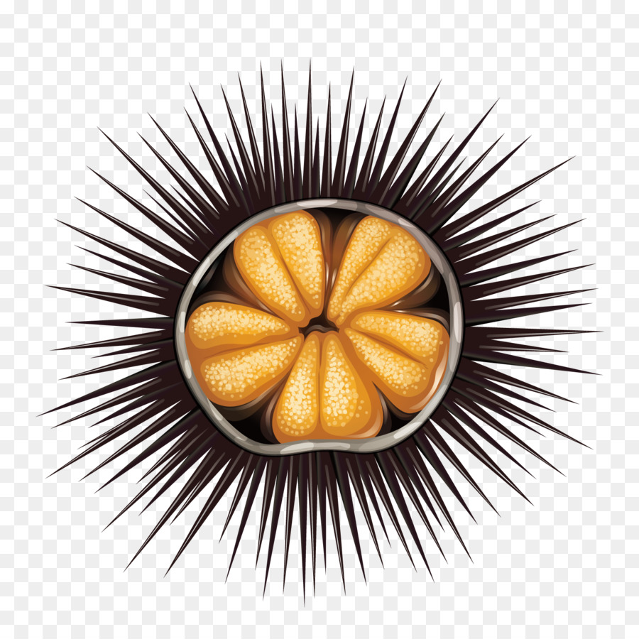 Seeigel Lizenzfreie Illustrationen - Vektor-deep sea urchin