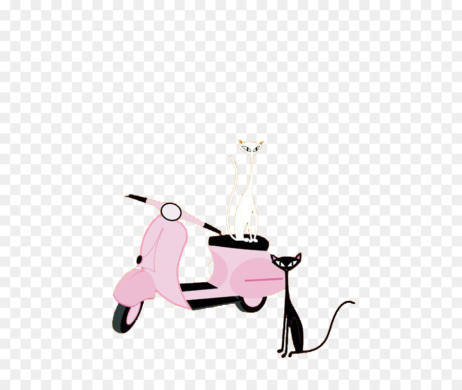 Mèo Xe Gắn Máy - Xe máy và con mèo