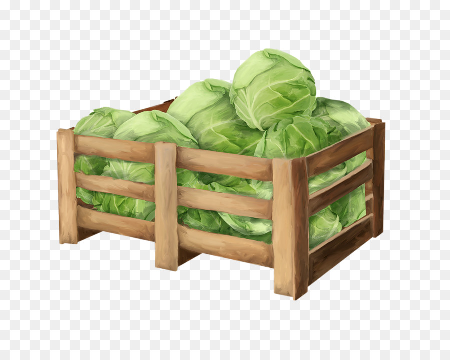 Gemüse-Kohl Auglis - Kohl