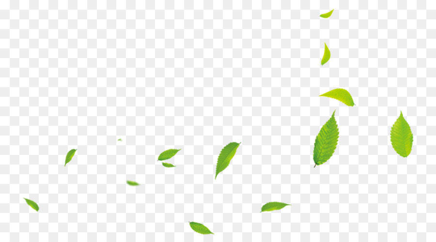 Foglia Verde Download - Piccole foglie verdi
