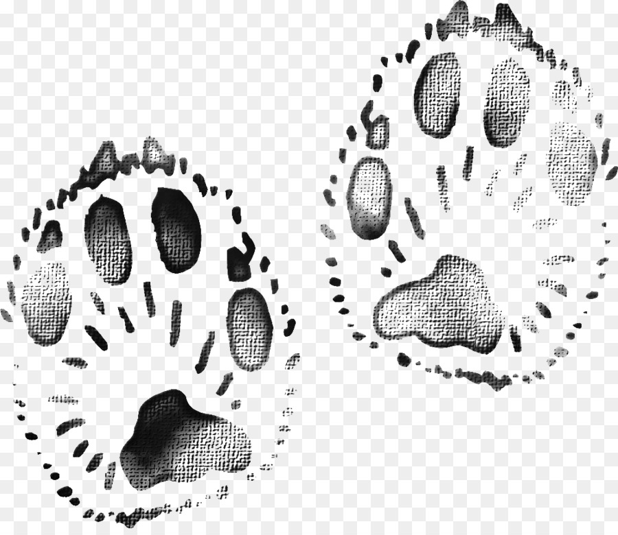 Il Download Di Google Immagini - nero impronte degli animali