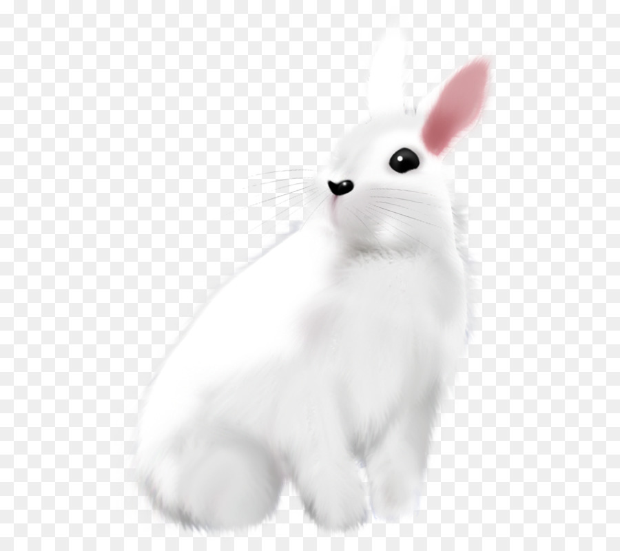 Coniglio di Pasqua, Bunny, Lepre Bianca - Dipinto di bianco coniglietto