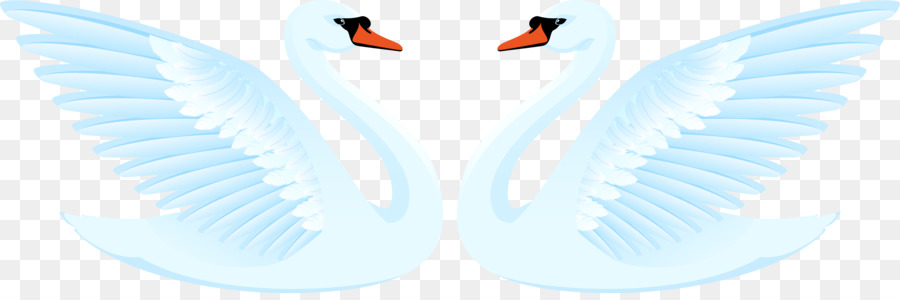Ala Uccello, Anatra, Oca Cygnini - Vettore di un paio di light blue swan