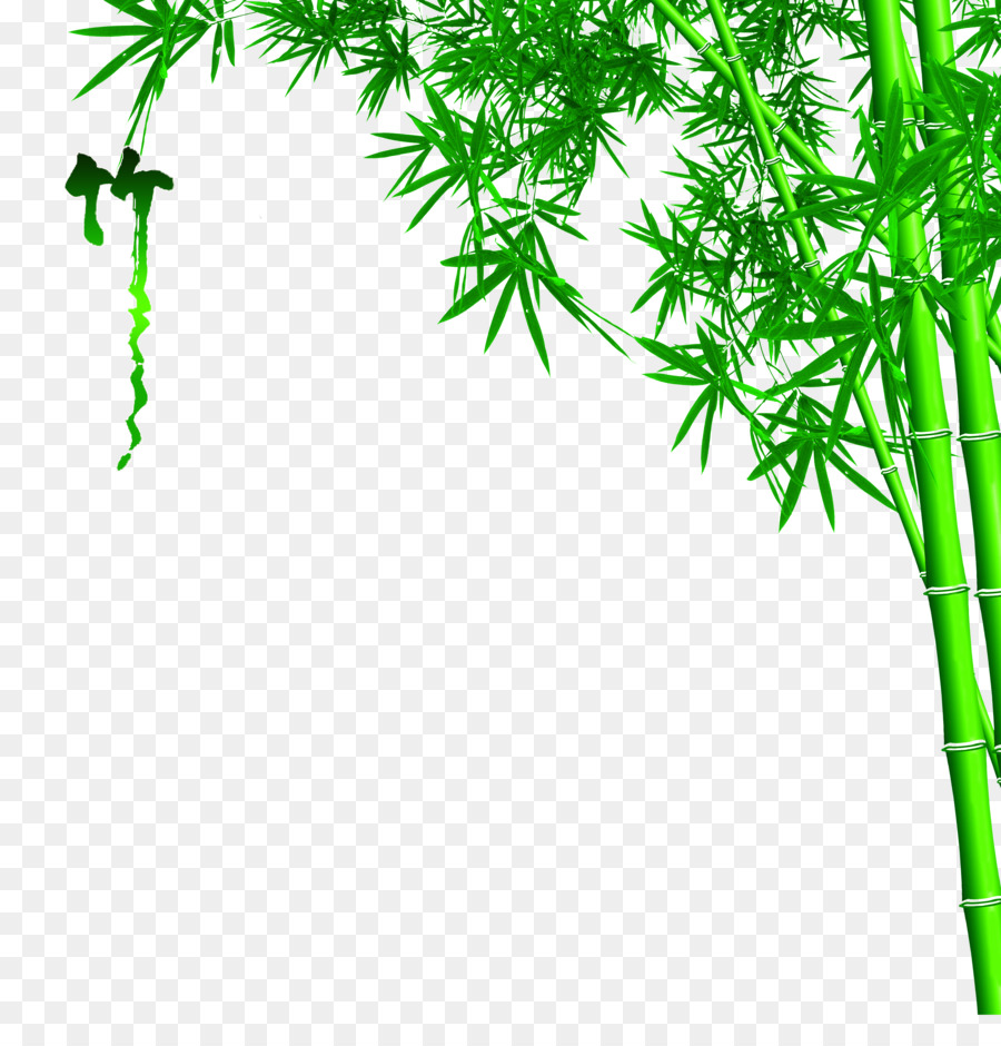 Bambus-Wand-3D-film-Tapete Wandbild - Bambus