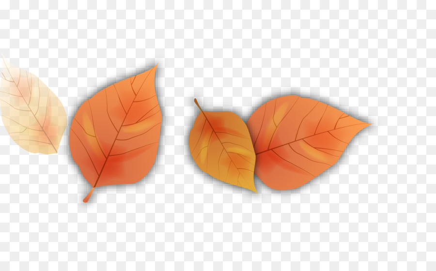 Autunno, Foglia, Petalo Cartoon - Cartoon foglie di autunno foglie