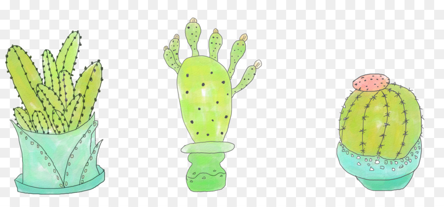 Cactacee Cactus y suculentas Disegno di pianta grassa - Dipinto a mano cactus piccole piante fresche