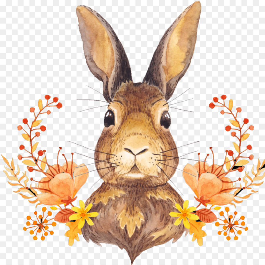 Mùa thu màu lá thu Hoạch lễ Tạ ơn - chú thỏ dễ thương