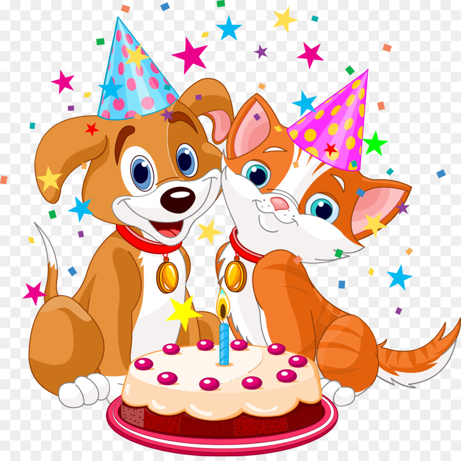 Dogu2013cat mối quan hệ Dogu2013cat mối quan hệ Clip nghệ thuật - lễ kỷ niệm sinh nhật