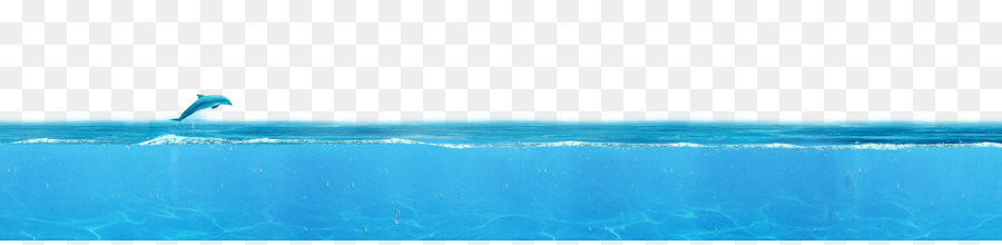 Türkis, Wasser, Marke, Schrift - Delphin Meer