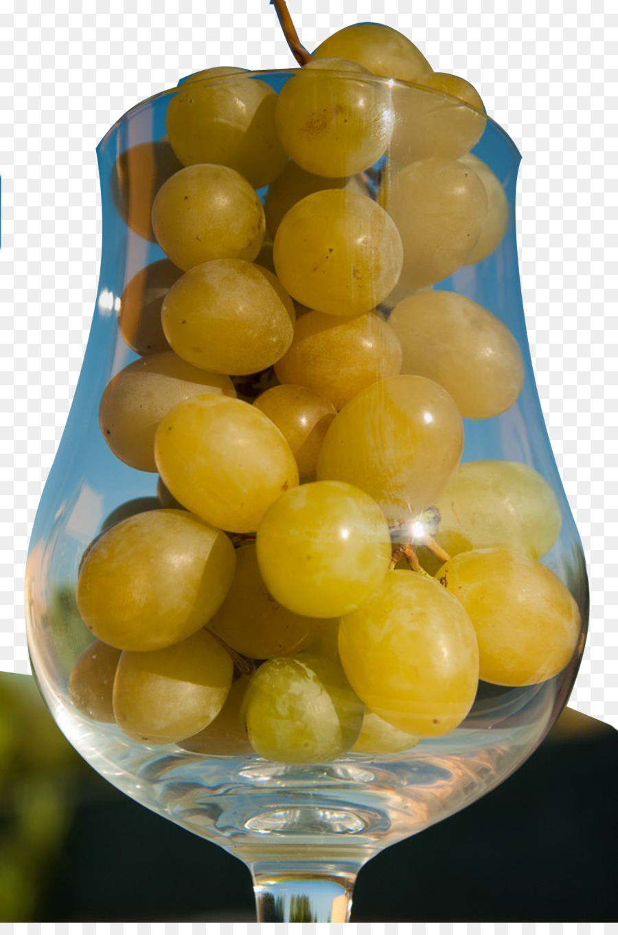 Weißwein Weinlese - Tasse Trauben