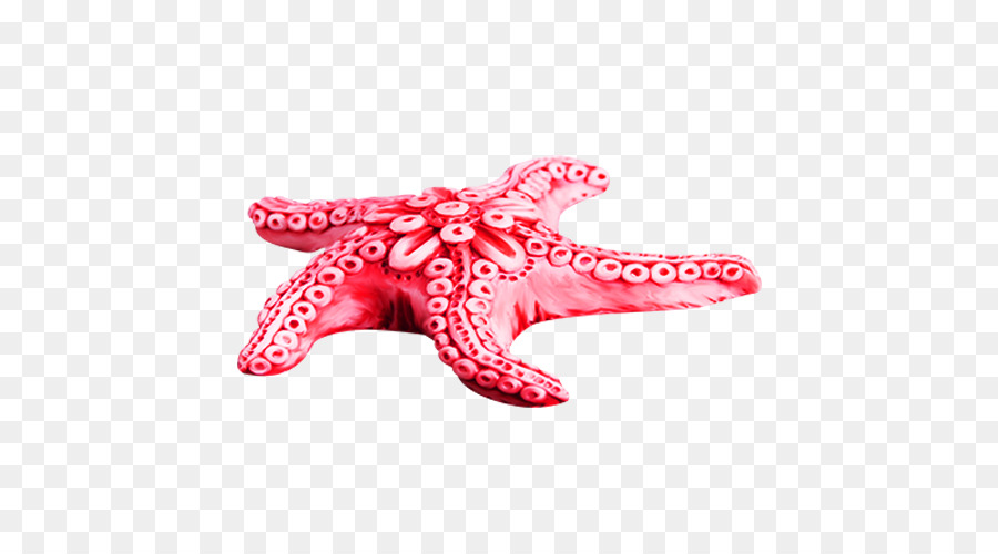 Clip art di stelle marine - rosa stella marina