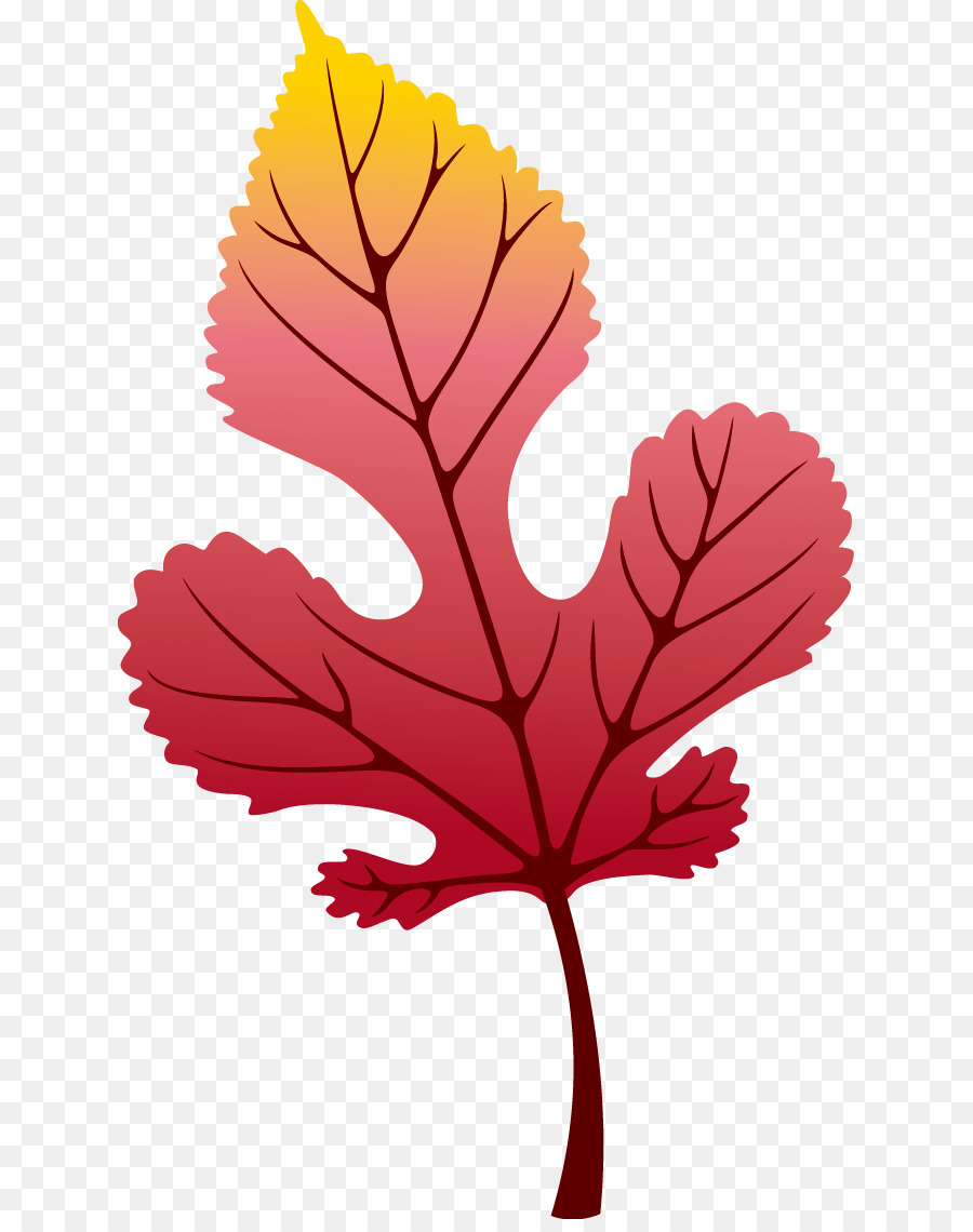 Ahorn Blatt Herbst - Blätter im Herbst Dekoration