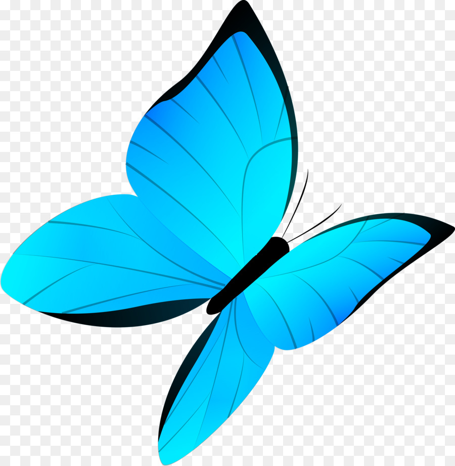 Bướm Vẽ Phim Hoạt Hình - bướm màu xanh phim hoạt hình véc tơ