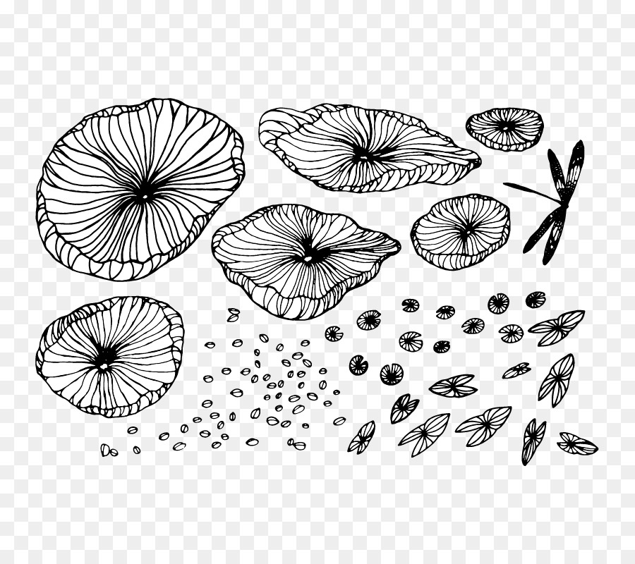 Nelumbo nucifera-Shape-Line - Libelle, lotus-Blatt-Feine Linie, Zeichnung, Entwurf