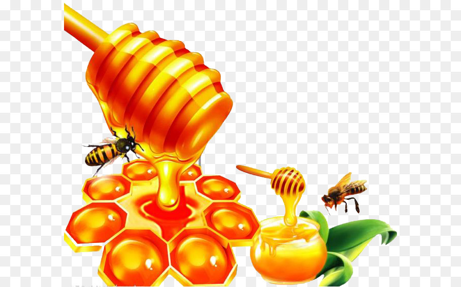 Mật ong, ong Mật Ong - mật ong