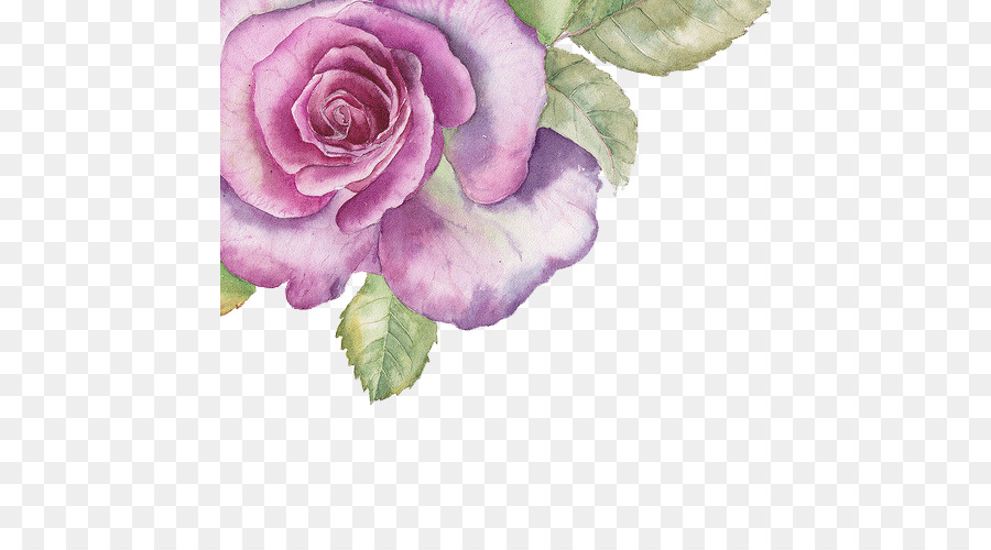 Aquarell-Blumen-Aquarell Rose - Von Hand bemalt lila Blumen