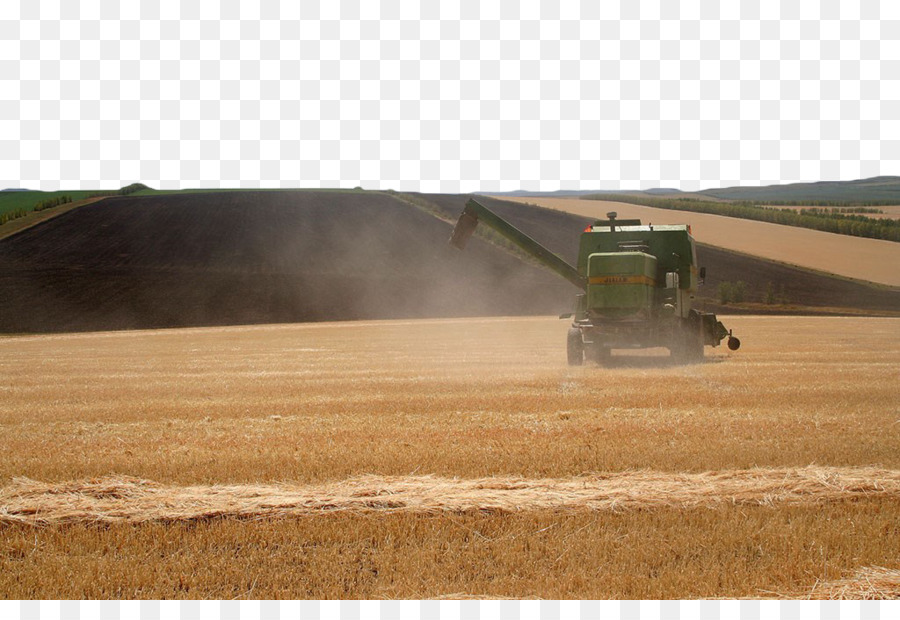 Vụ Mùa Thu Hoạch Nông Trại Đất, Cỏ - Lúa mì thu hoạch