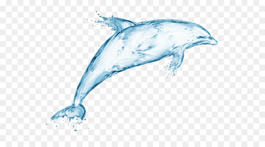 Delfin-Wasser-Stock-Fotografie-Illustration - Wasser Delfine