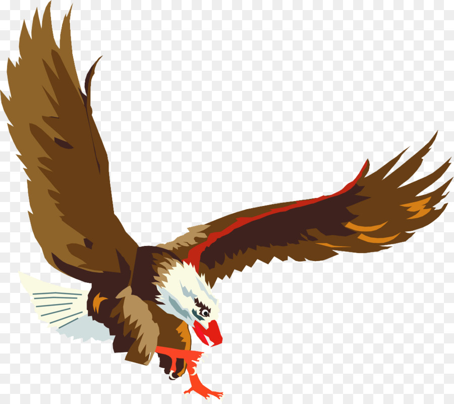 Philadelphia Eagles - chim ưng