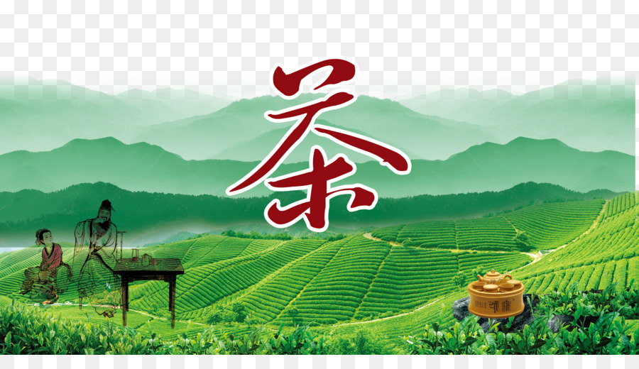 Grüner Tee Poster - Chinesischen grünen Tee - / wind-kreative Plakate