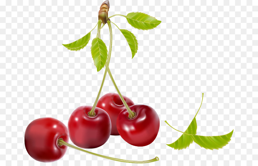 Sữa chua Cherry miễn phí tiền bản Quyền Clip nghệ thuật - Tinh tế trái cây anh đào