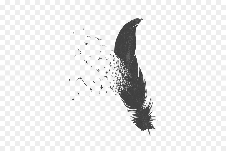 Lông Chim Vẽ - rơi xuống feather