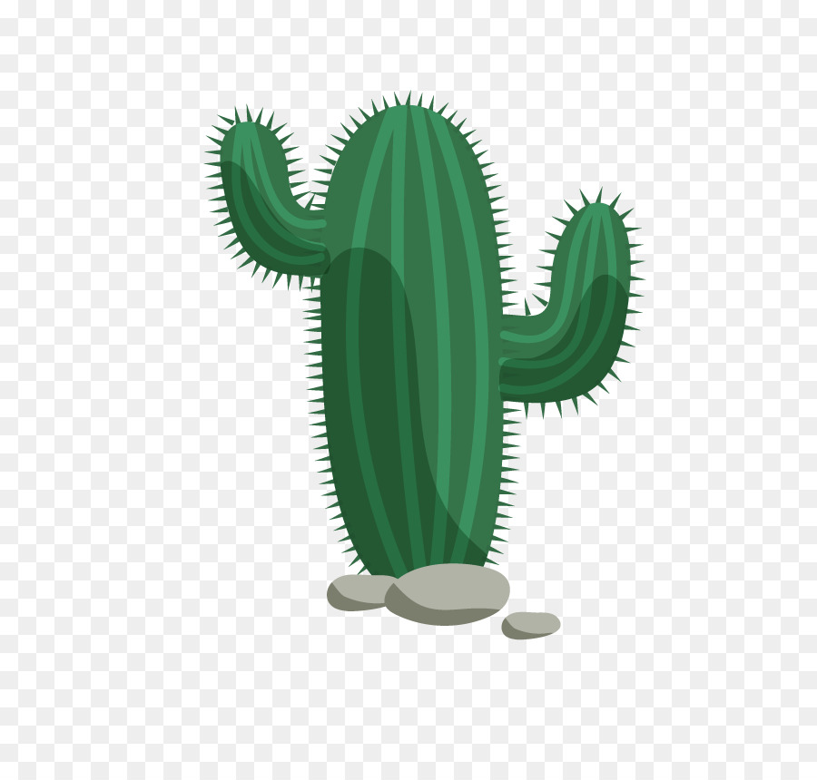 Cactaceae Flat design - Desert Cactus Flat Vector